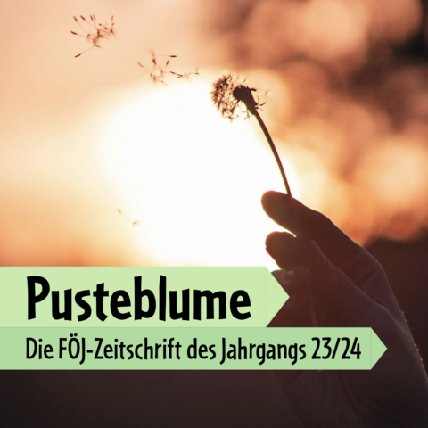 Magazin Pusteblume