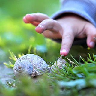 FOEJ Waldkindergarten web